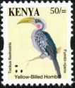Eastern Yellow-billed Hornbill (Tockus flavirostris)